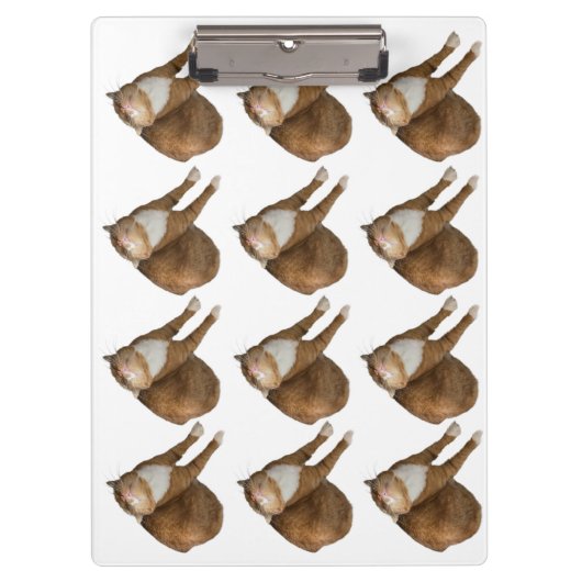 Auf-dem-Kopf-Sonnenkatze Klemmbrett (Vorderseite)