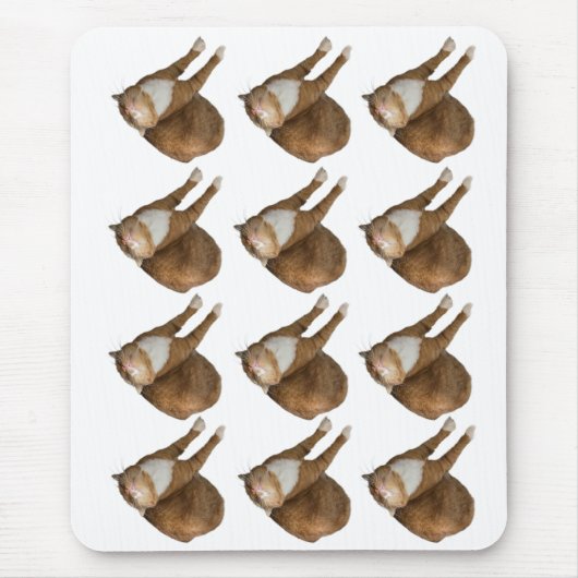 Auf-dem-Kopf-Sonnenkatze Mousepad (Vorne)