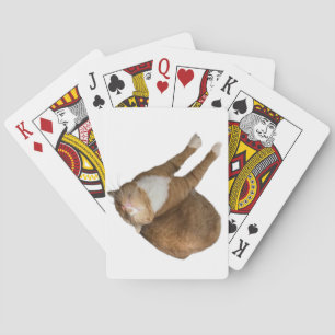 Auf-dem-Kopf-Sonnenschein-Katze Spielkarten