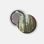 Auf dem McKenzie River Magnet (Vorderseite/Rückseite)