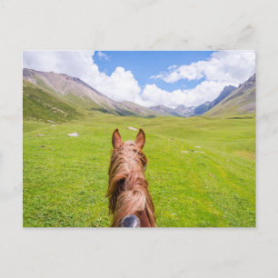 Auf dem Pferd zurück Postkarte