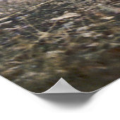 Auf dem Prowl Timber Wolf Poster (Ecke)