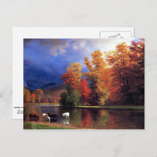 Auf dem Saco Postkarte (Vorne/Hinten)