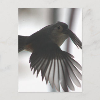 Auf dem Spiel Postkarte