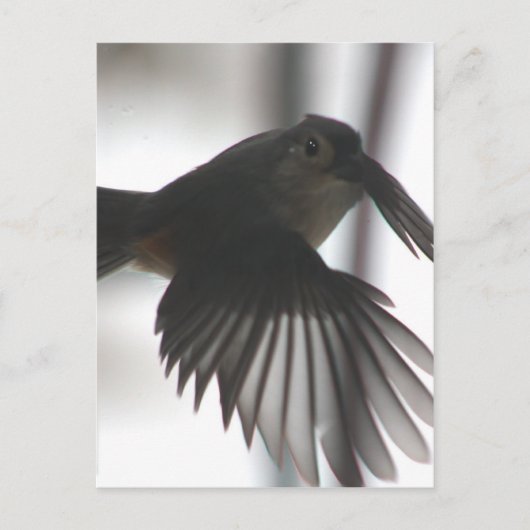 Auf dem Spiel Postkarte (Vorderseite)