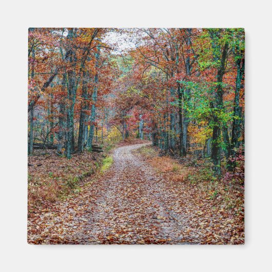 Auf dem Weg der Schuld Magnet (Vorne)