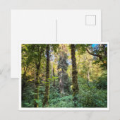 Auf dem Weg Postkarte (Vorne/Hinten)