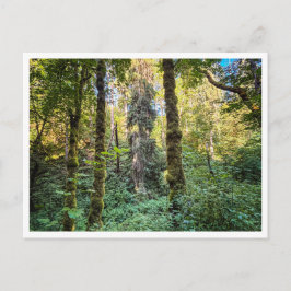 Auf dem Weg Postkarte