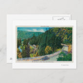 Auf dem Weg zu den großen Bäumen von Santa Cruz Postkarte (Vorne/Hinten)