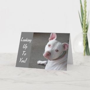 AUF DEM WEG ZU MEINEM FREUND SUCHEN KARTE