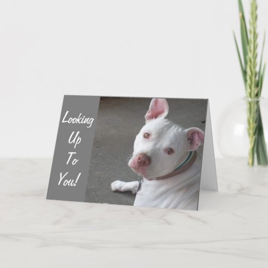 AUF DEM WEG ZU MEINEM FREUND SUCHEN KARTE (Vorderseite)