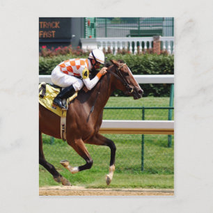 Auf dem Weg zum Erfolg Horseracing Postkarte