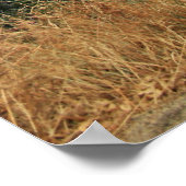 Auf dem Weg zum Kings Canyon Poster (Ecke)