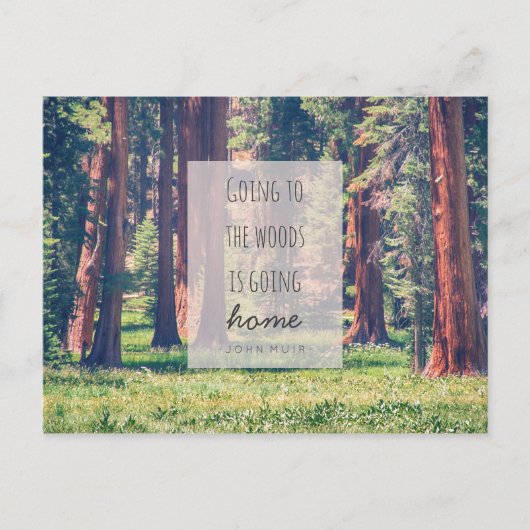 Auf dem Weg zum Wald | Postkarte (Vorderseite)