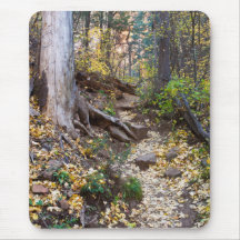 Auf dem West Fork Trail