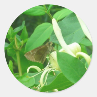 Auf den Aufklebern für Honeysuckle Runder Aufkleber