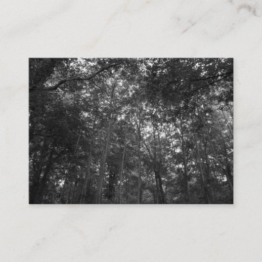 Auf den Bäumen, Mini-Foto Visitenkarte (Vorderseite)