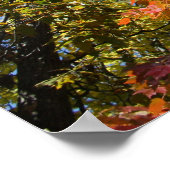 Auf den Baumsteinen Poster (Ecke)