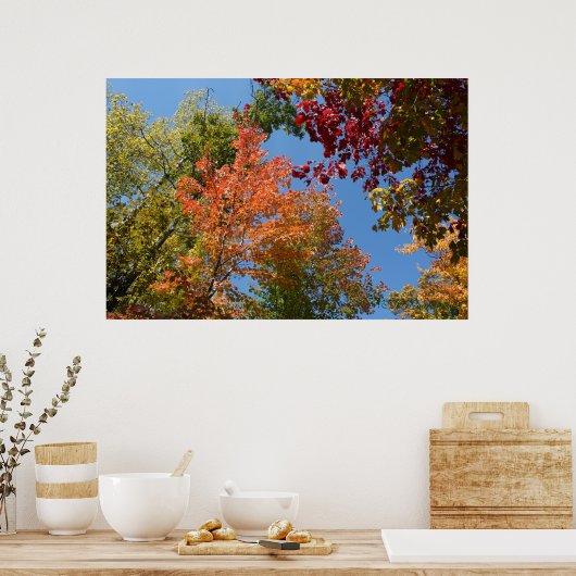 Auf den Baumsteinen Poster (Küche)