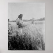 Auf den Feldern von Boaz in Bethlehem Poster (Vorne)