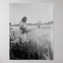 Auf den Feldern von Boaz in Bethlehem Poster