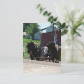 Auf den Hügel kommen Postkarte (Stehend Vorderseite)
