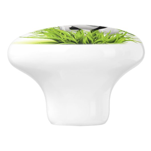 Auf den Knochen der Keramik des landwirtschaftlich Keramikknauf (Seitenansicht)