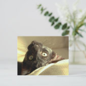 Auf den Kopf! Postkarte (Stehend Vorderseite)