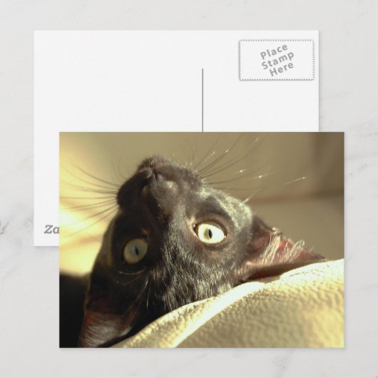 Auf den Kopf! Postkarte (Vorne/Hinten)