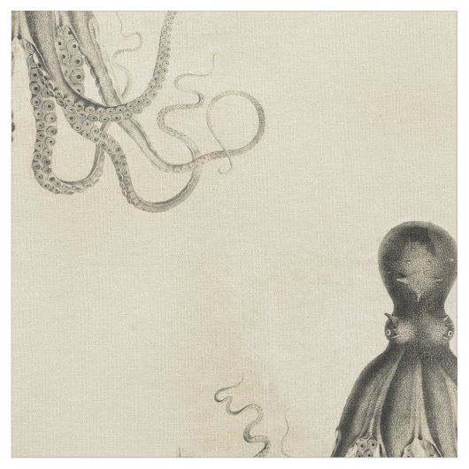 Auf den Strand gesetzte Krake Stoff (Nahaufnahme)