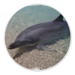 Auf den Strand gesetzter Delphin Keramikknauf