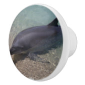 Auf den Strand gesetzter Delphin Keramikknauf (Rechts)