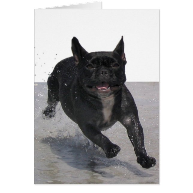 Auf den Strand laufen, Paris Merille (Vorne)