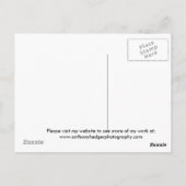 Auf den Ufern von Loch Ness mit dem Monster Postkarte (Rückseite)