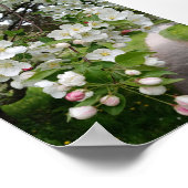 Auf den Zweigen der Blüten Poster (Ecke)