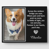 Auf der anderen Seite der Regenbogenbrücke Fotoplatte (Vorderseite)