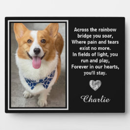 Auf der anderen Seite der Regenbogenbrücke Fotoplatte