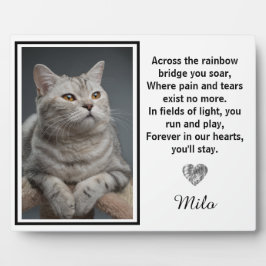 Auf der anderen Seite der Regenbogenbrücke Fotoplatte