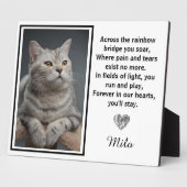 Auf der anderen Seite der Regenbogenbrücke Fotoplatte (Seite)