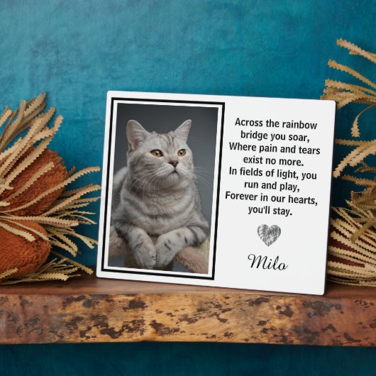 Auf der anderen Seite der Regenbogenbrücke Fotoplatte (Seite)