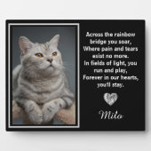 Auf der anderen Seite der Regenbogenbrücke Fotoplatte (Vorderseite)