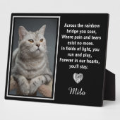 Auf der anderen Seite der Regenbogenbrücke Fotoplatte (Seite)