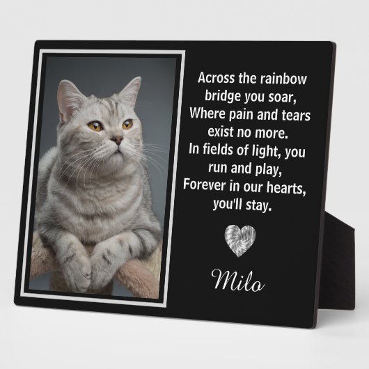 Auf der anderen Seite der Regenbogenbrücke Fotoplatte (Seite)