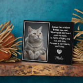 Auf der anderen Seite der Regenbogenbrücke Fotoplatte (Seite)