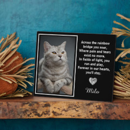 Auf der anderen Seite der Regenbogenbrücke Fotoplatte