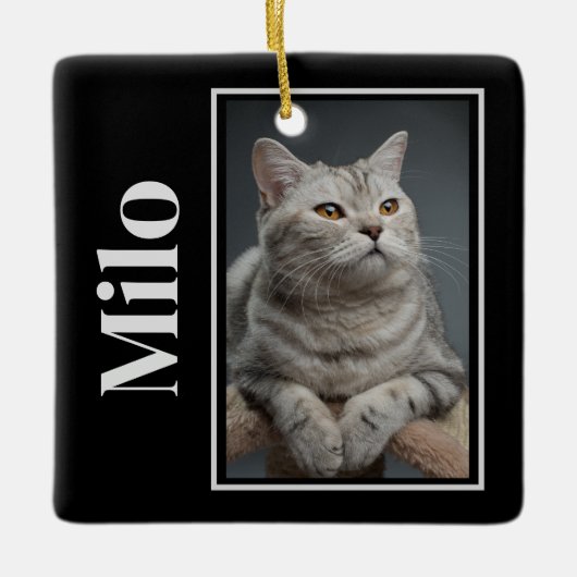 Auf der anderen Seite der Regenbogenbrücke Keramikornament (Vorderseite)