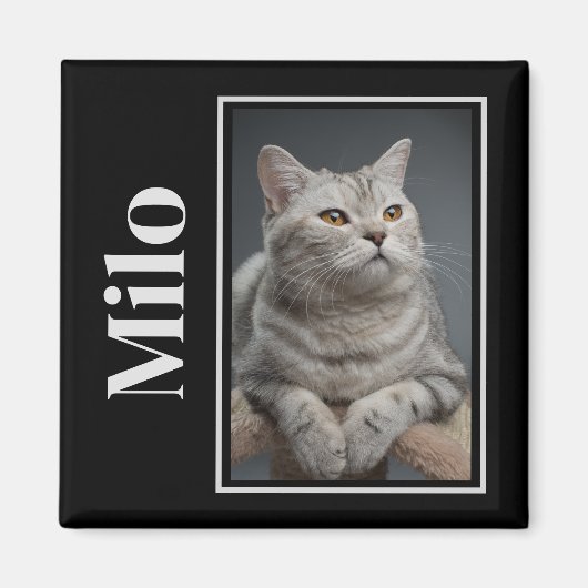 Auf der anderen Seite der Regenbogenbrücke Magnet (Vorne)