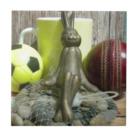 Auf der anderen Seite Pitch & Crease: Fußball-Cric Fliese (Vorderseite)