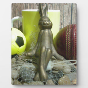 Auf der anderen Seite Pitch & Crease: Fußball-Cric Fotoplatte