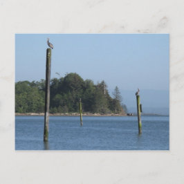 Auf der Guard Postcard Postkarte